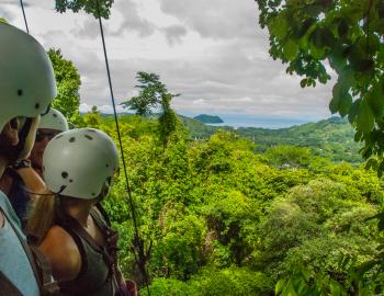 Canopy Tour