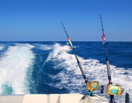 Sport Fishing