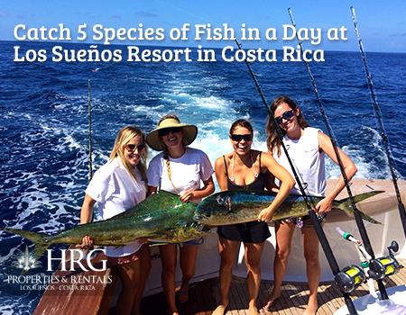 los suenos, real estate, costa rica vacation, adventure tours, sport fishing