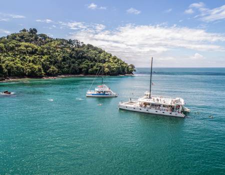 catamaran tour tortuga island