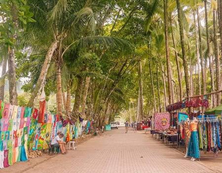 day trip dominical