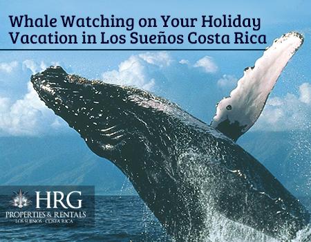 los suenos, real estate, costa rica vacation, adventure tours, sport fishing