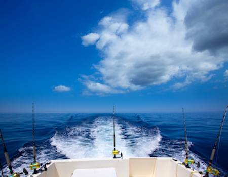 sport fishing boat stern 