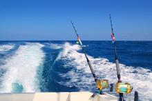 Sport Fishing
