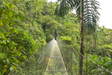 tours costa rica