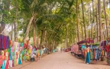 day trip dominical