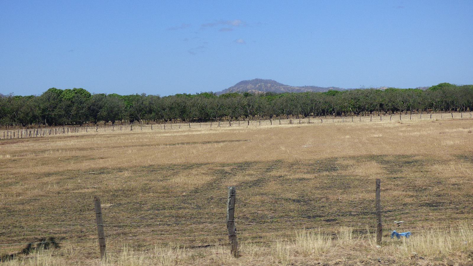 Costa Rica’s Dry Season