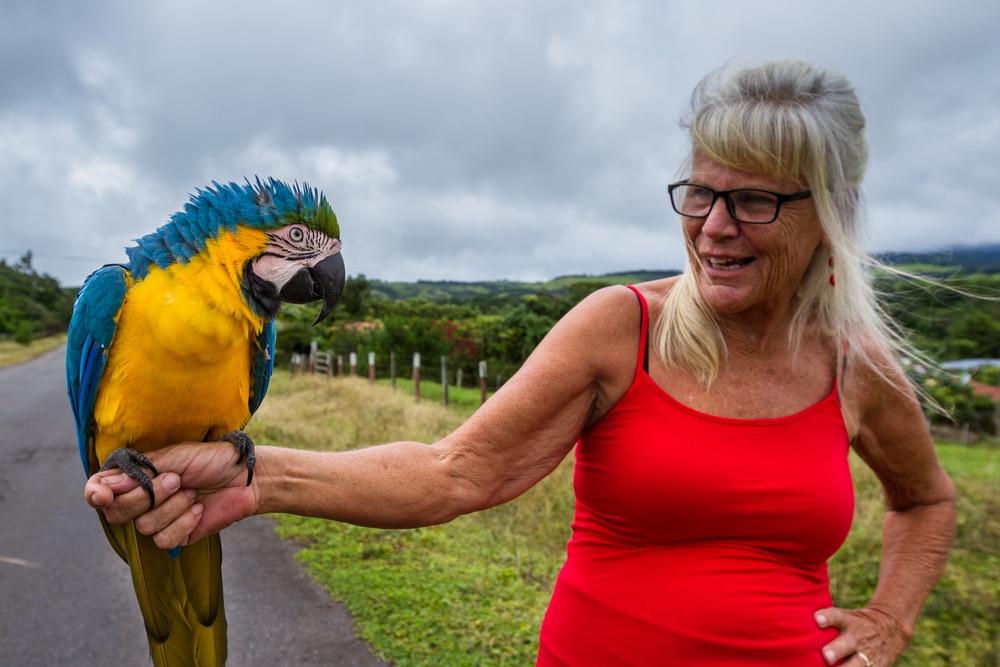 Expat in Costa Rica